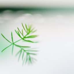 A plant that grows in water