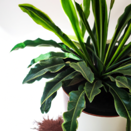 Air-Purifying Plants for Pet-Friendly Homes