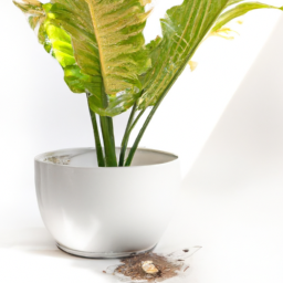 Air-Purifying Plants for Pet-Friendly Homes