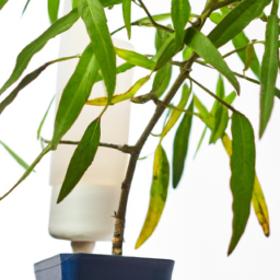 Best grow light for indoor plants