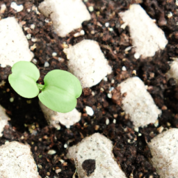 Best indoor grow light, Best indoor plant soil