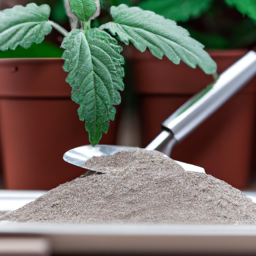 Best indoor grow light, Best indoor plant soil