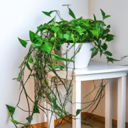  Dealing with Drooping Plants: Tips and Fixes