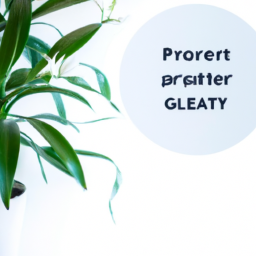 Dealing with Overwatering: Signs, Solutions, and Prevention