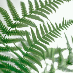  Ferns Unveiled: Adding Elegance to Your Space