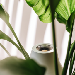 Indoor Plants Air Purifier