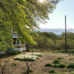  Plants for Better Sleep: Creating a Serene Bedroom