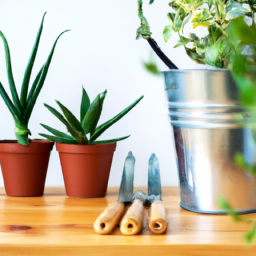 Small-Space Container Gardening for Apartments and Condos