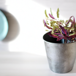 Unique Planters for Indoor Gardens: From Repurposed to Modern Designs