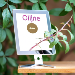 Where to Buy Indoor Plants