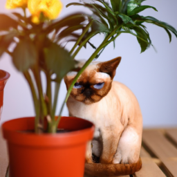Indoor Plants That Are Safe for Cats