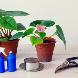 Should I Repot Indoor Plants After Buying