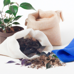 Should Indoor Plants Be Fertilized in the Winter