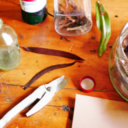 The Art of Propagating Plants in Spring: Tips and Techniques