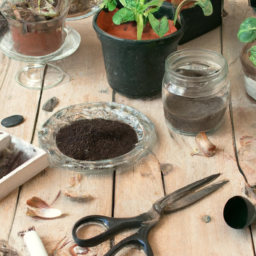 The Art of Propagating Plants in Spring: Tips and Techniques