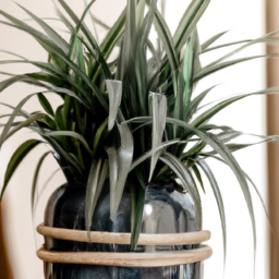 Indoor Plants Artificial