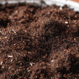Indoor plants potting soil