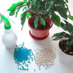 Should I Fertilize Indoor Plants