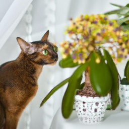 Which Indoor Plants Are Toxic to Cats