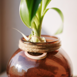 Indoor Plants Benefits? Explore the Positive Effects of Indoor Plants ...