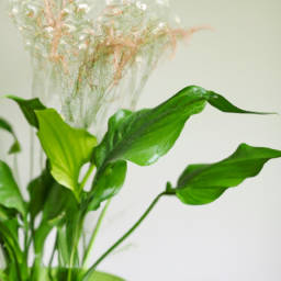 Indoor Plants That Smell Good