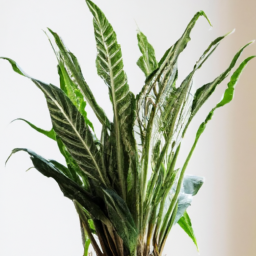 Indoor Plants Used in Hotels