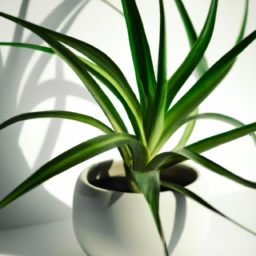 Best color light for plant growth