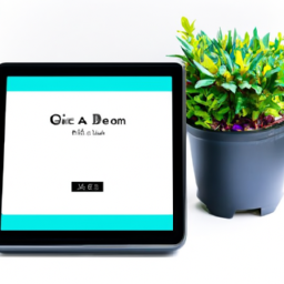 Can I Buy Indoor Plants Online