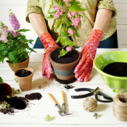 Best plants for beginner gardeners