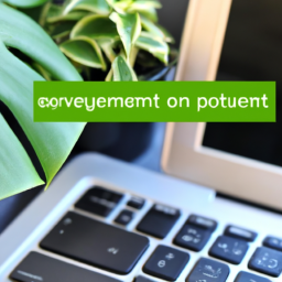 Buy house plants online