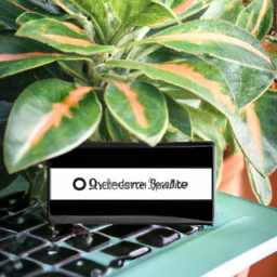 Buy houseplant online