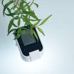 Cheap grow lights for indoor plants