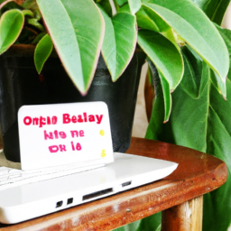 Cheapest online plants